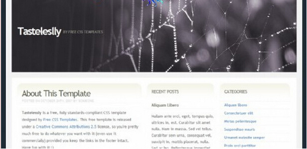 蜘蛛网 主题 blog 网页模板 主题素材 蜘蛛网主题 网页素材