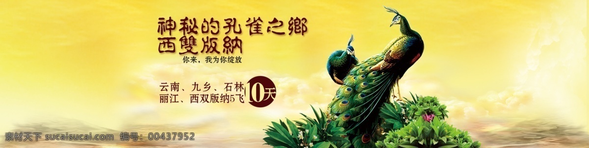 淘宝 天猫 海报 孔雀 分层 格 试 淘宝界面设计 广告 banner