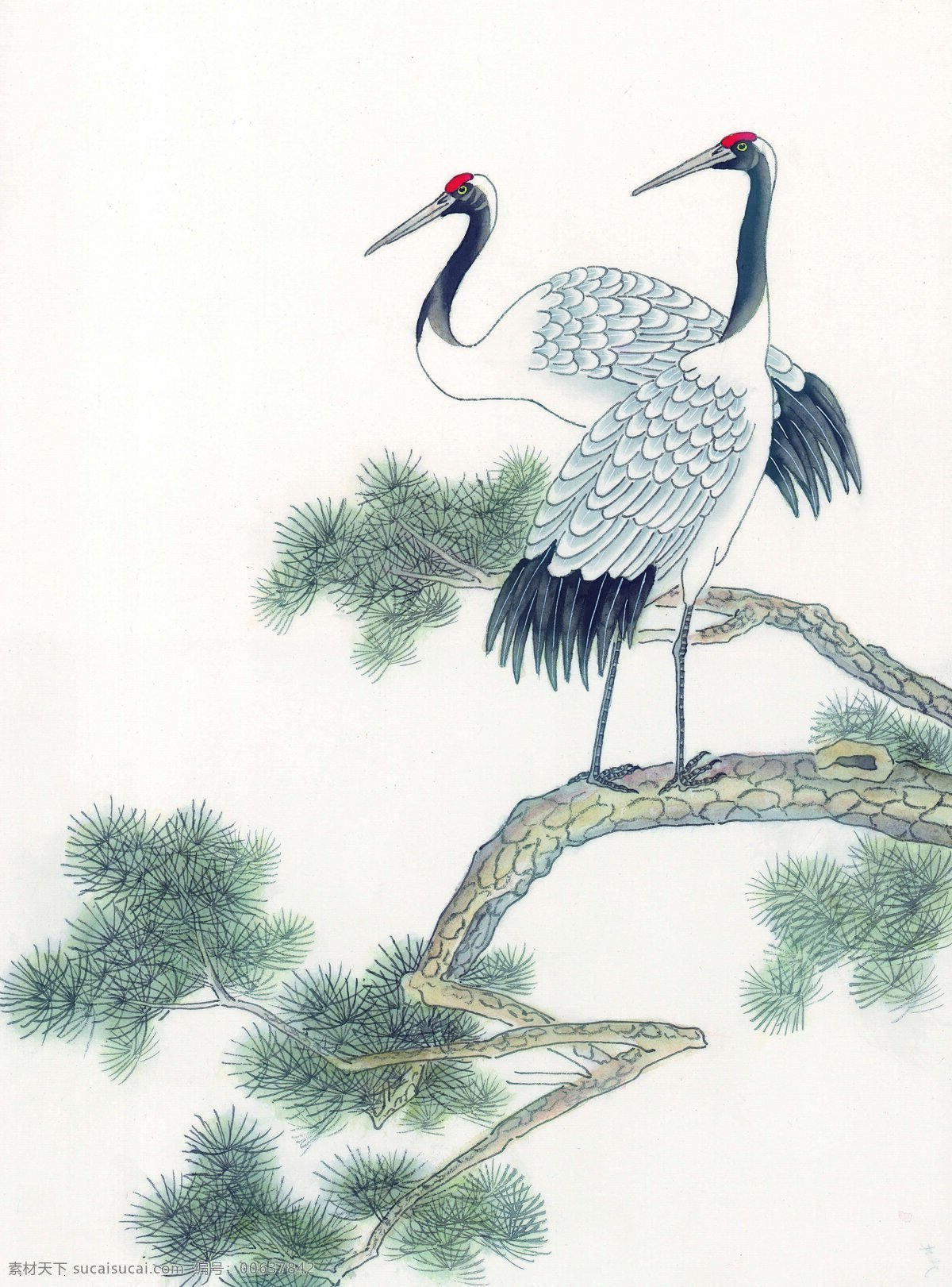 花鸟 中国画 书画 美术 设计素材 花鸟画篇 中国画篇 书画美术 白色
