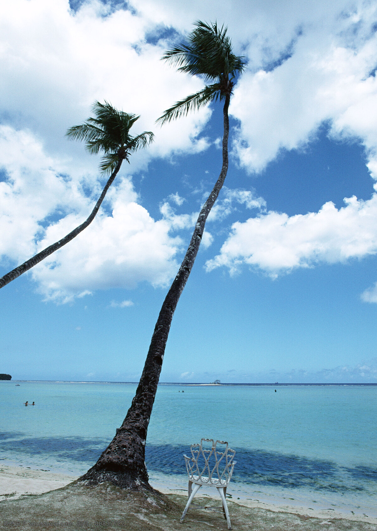 夏威夷 风光摄影 夏威夷风光 海洋 海滩 沙滩 避暑胜地 海边 树木 座椅 夏天 夏日风情 清爽一夏 度假旅游 蔚蓝天空 沙滩椅 国外旅游 旅游摄影 海洋海边 自然景观 白色
