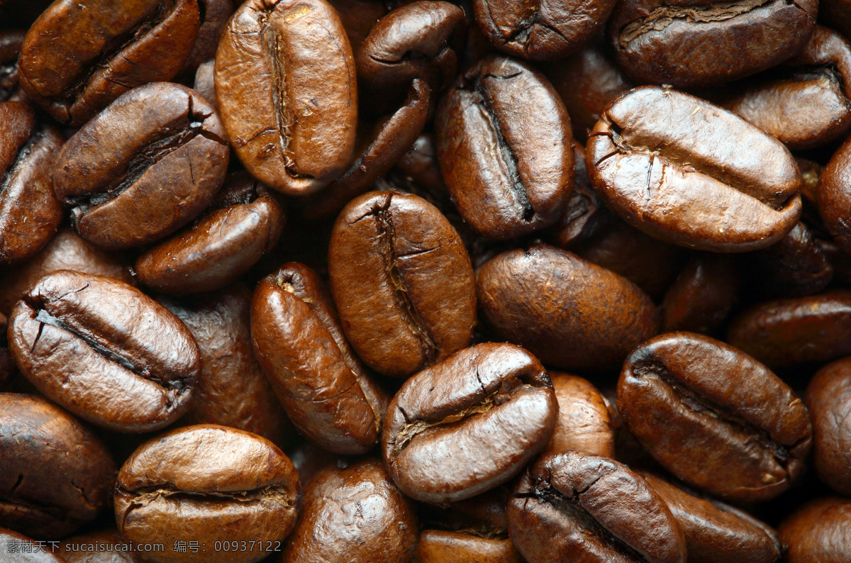 上等 咖啡豆 咖啡 油亮的咖啡豆 饱满的果实 上等咖啡豆 咖啡文化 咖啡豆写真 浓郁 芳香 高清图片 咖啡图片 餐饮美食