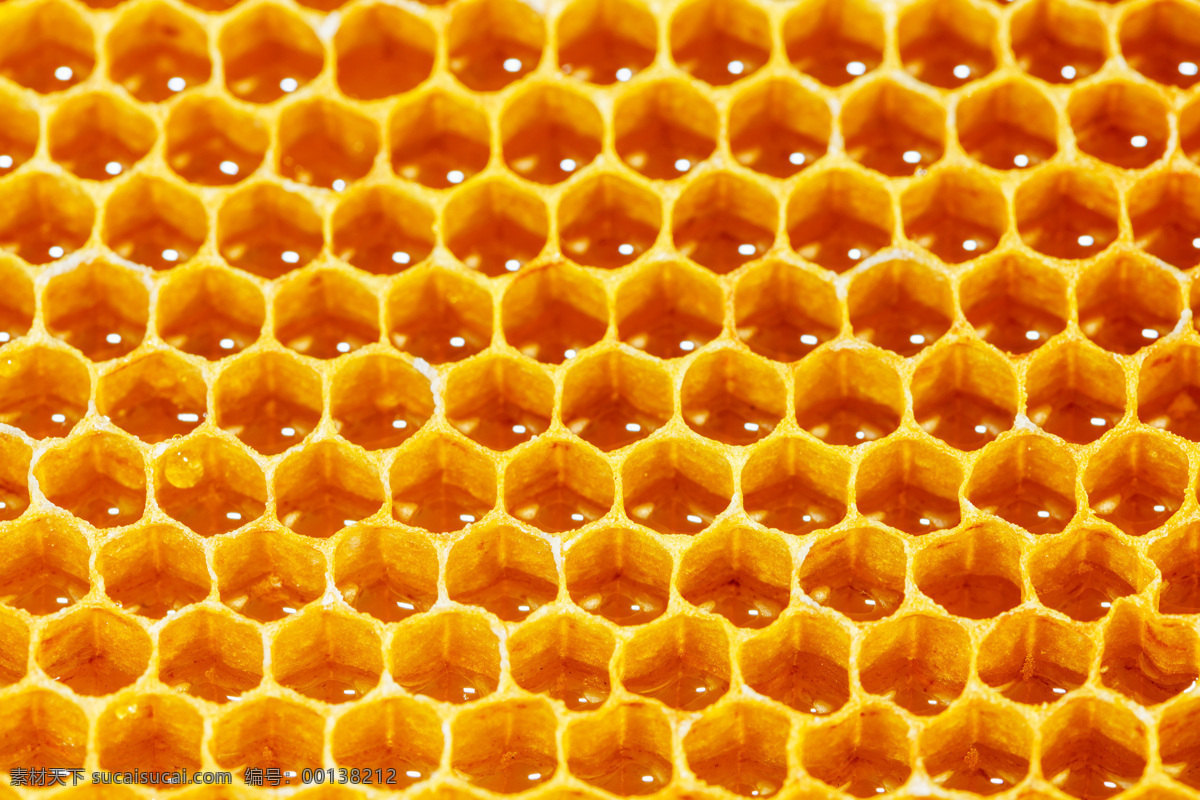 蜂蜜 花蜜 蜜糖 蜂蜜水 天然蜂蜜 手工蜂蜜 手工花蜜 天然花蜜 蜂窝蜜 纯天然蜂蜜 纯手工蜂蜜 蜂蜜巢 蜂巢蜜 餐饮美食 食物原料