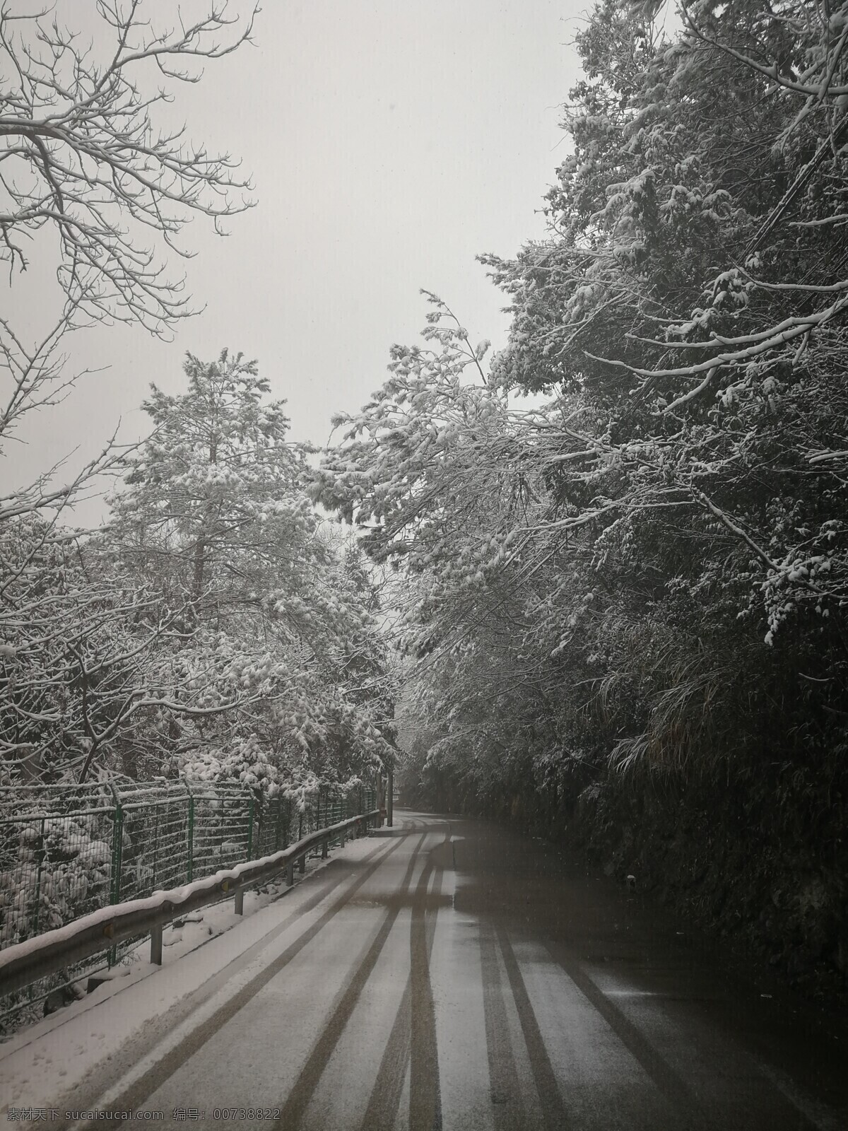大雪 雾 朦胧 树林 雪景 雪松 雪 国道 路 雪路 大雪封山 树荫 车景 隧道 自然景观 自然风景