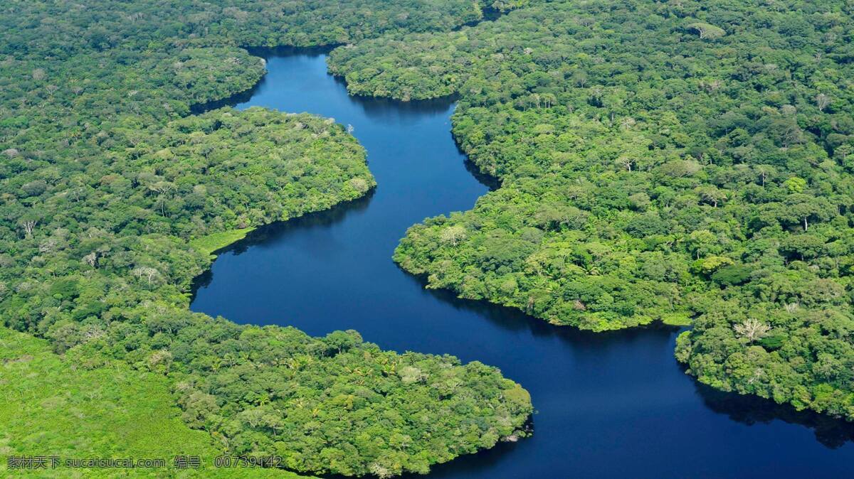 热带雨林 亚马逊河 俯视 航拍 湿地 旅游摄影 国外旅游