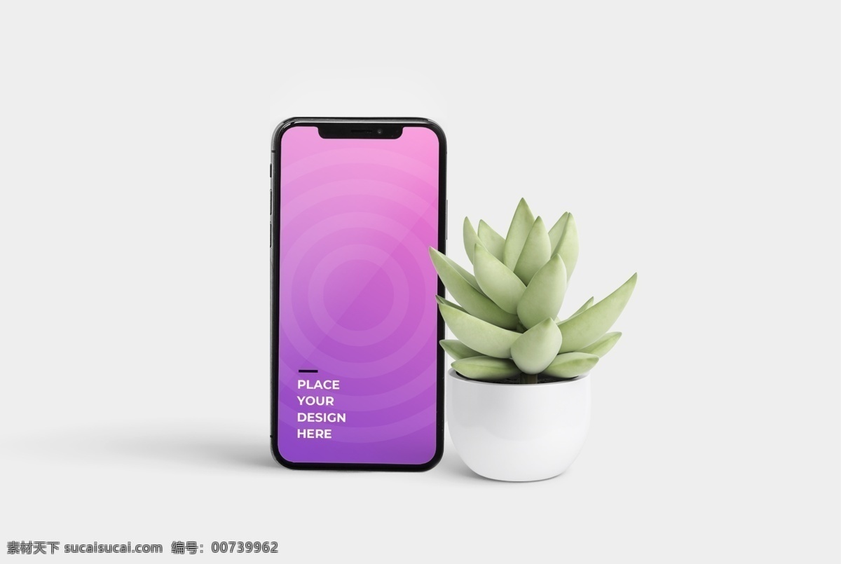 文艺 手机 iphone 样机 多肉 样机模板 电子设备 电子设备样机 手机样机 多肉盆栽