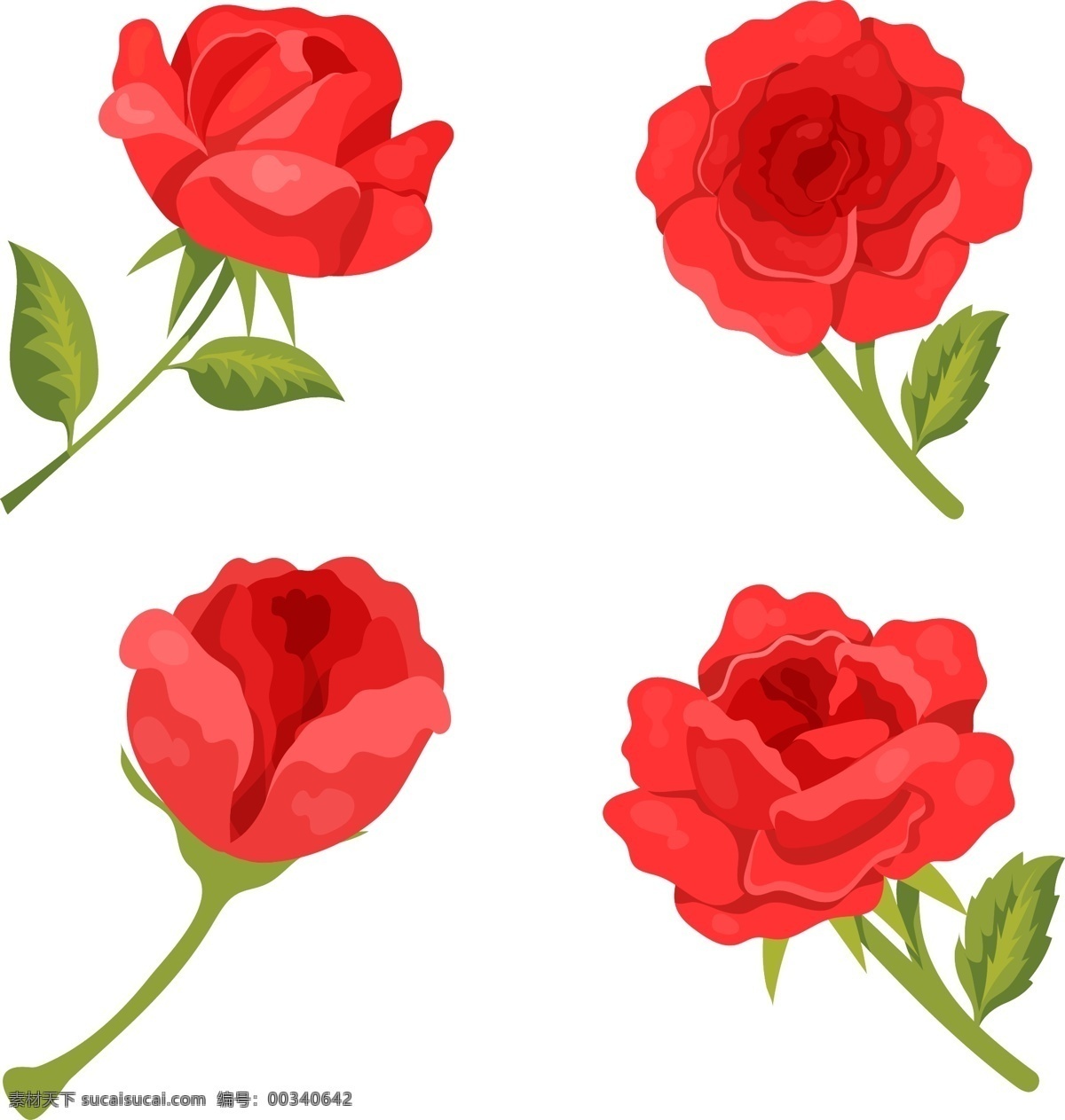 红色玫瑰花 玫瑰花 矢量 红色玫瑰 叶子
