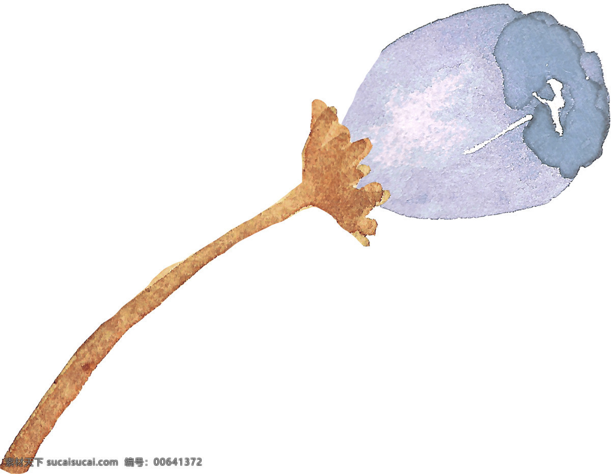 枝 简单 花朵 一枝 简约 红色