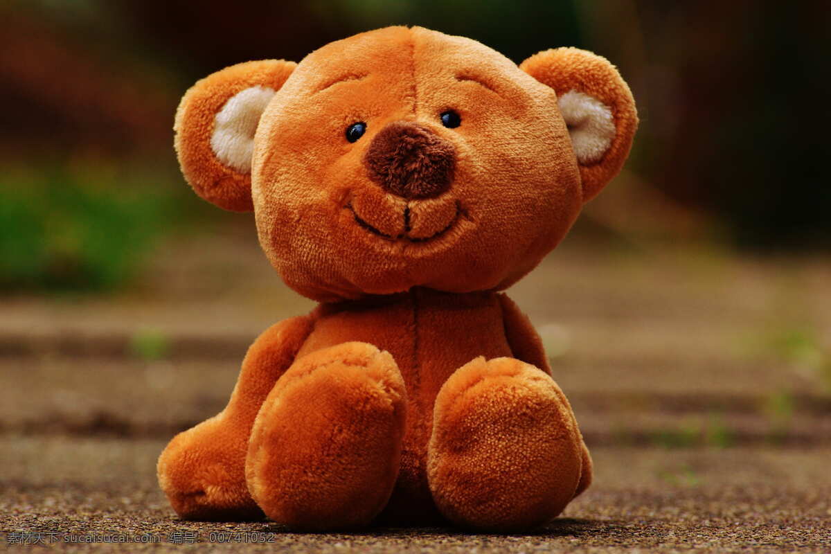 玩具熊 毛毛熊玩具 玩具 布偶 毛绒玩具 生活百科 生活素材