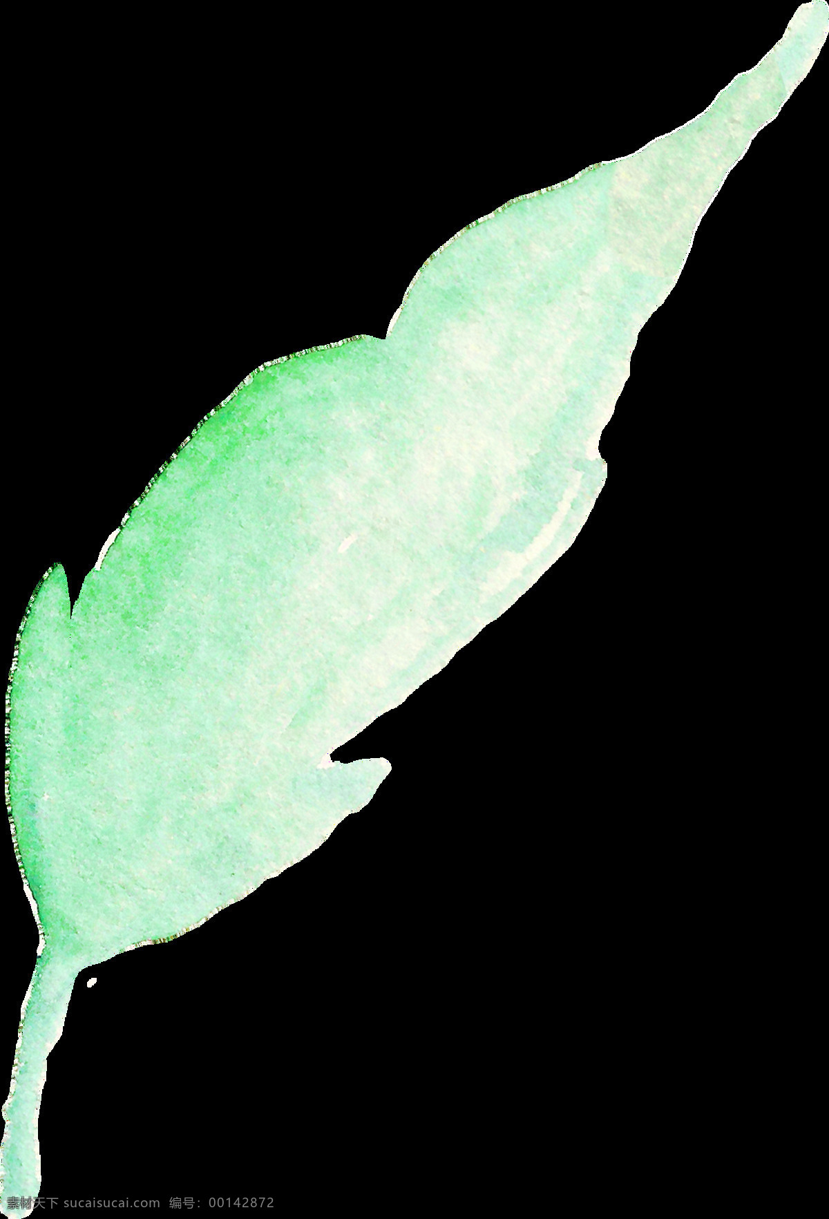 淡 白 绿叶 卡通 透明 装饰 标本 植物 透明素材 免扣素材 装饰图案