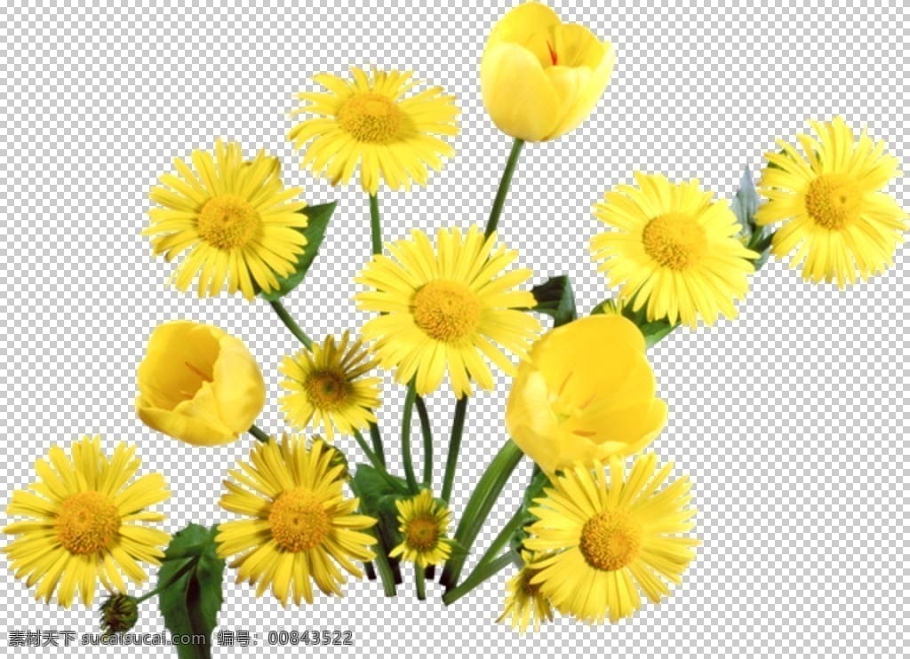 菊花装饰 菊花素材 菊花元素 黄菊花 黄色菊花 黄色元素 黄色素材 黄色装饰 花朵 菊花 花朵元素 花朵素材 水墨菊花 花瓣元素 花瓣素材 花瓣装饰 古典 中国风 古风 手绘菊花 悼念装饰 花 黄花 共享装饰元素
