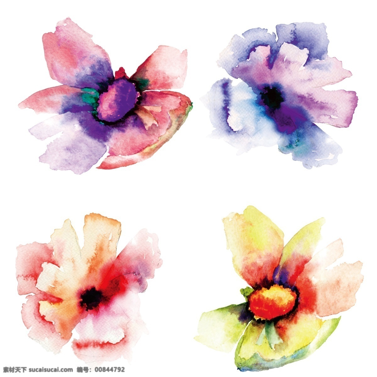 四朵水彩花 蓝色花朵 水彩花 花朵 花卉 彩绘花卉 水墨花 梦幻 手绘 分层 水彩花卉