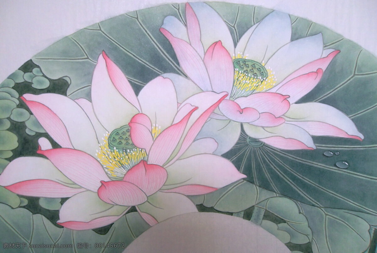 荷花 国画 工笔 工笔画 工笔荷花 国画荷花 绘画书法 文化艺术