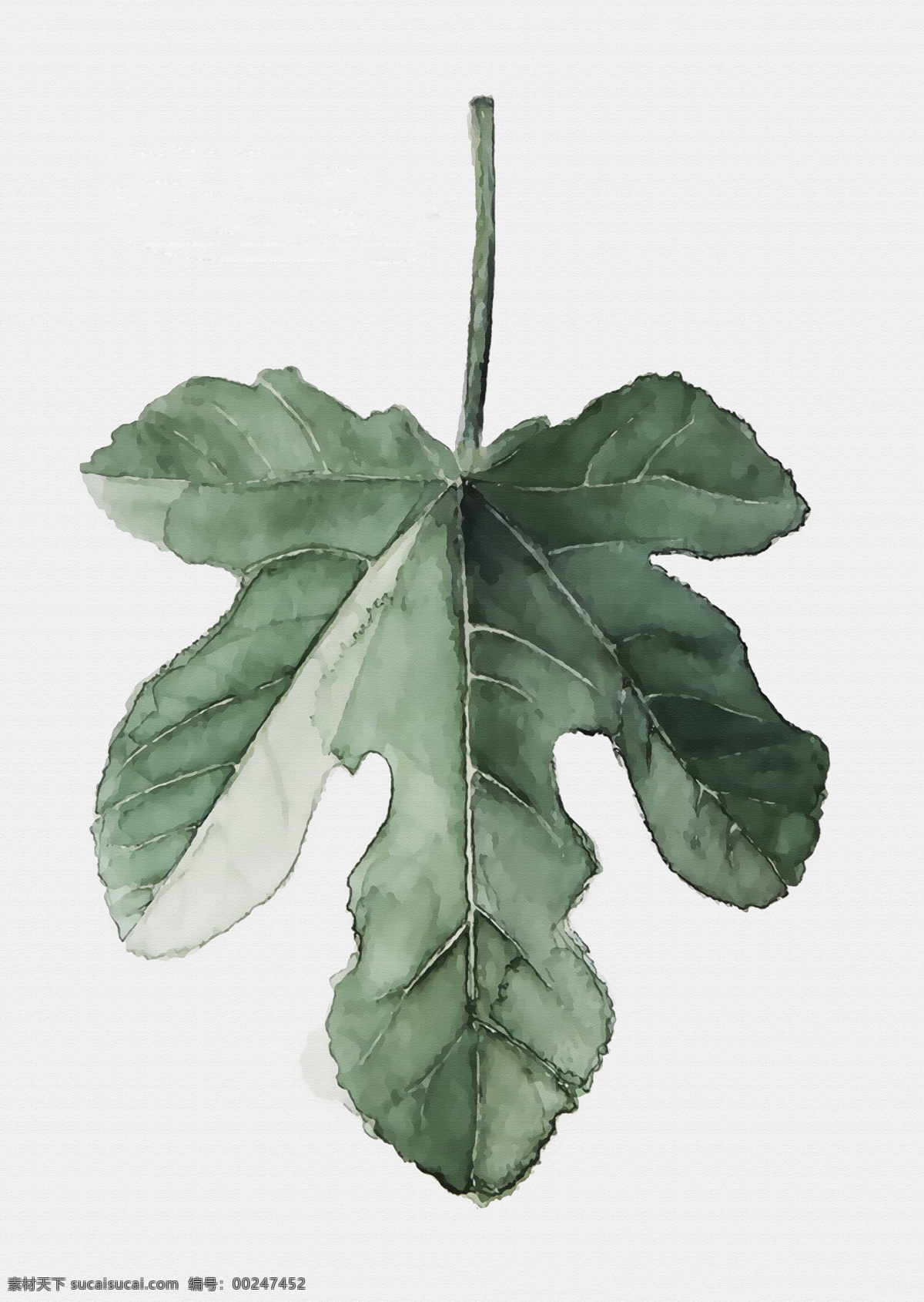 北欧装饰画 北欧 装饰画 植物 过道画 欧式 文化艺术 传统文化