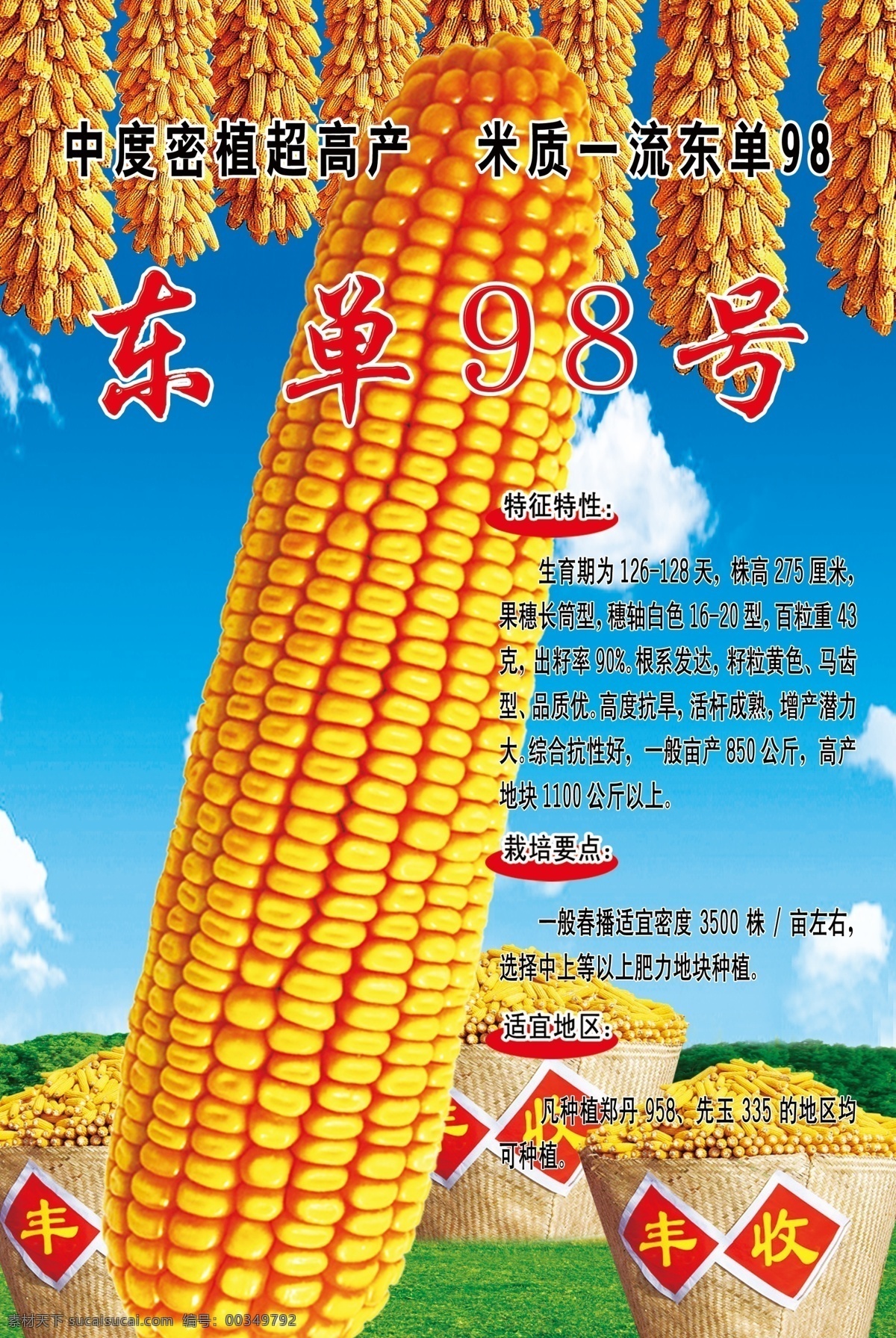 玉米种 苞米 种子 分层 源文件