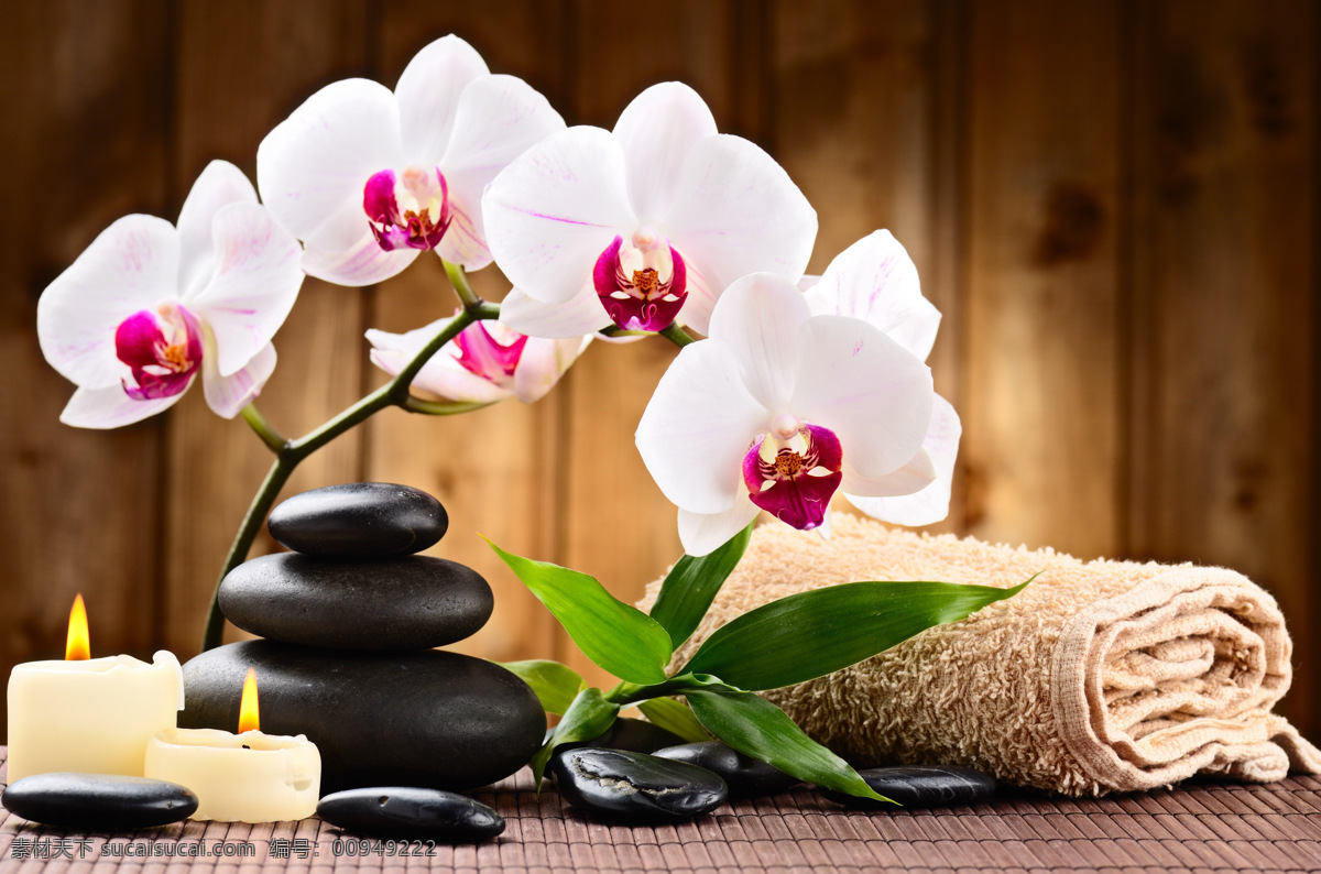 spa 蝴蝶兰 护理 蜡烛 兰花 绿叶 毛巾 美容 用品 禅石 石头 石块 精华液 水疗 美容用品 美容素材 美容spa 美容鲜花 美容石头 美容石块 美容禅石 鲜花 水波 木板墙 spa用品 生活素材 生活百科 风景 生活 旅游餐饮