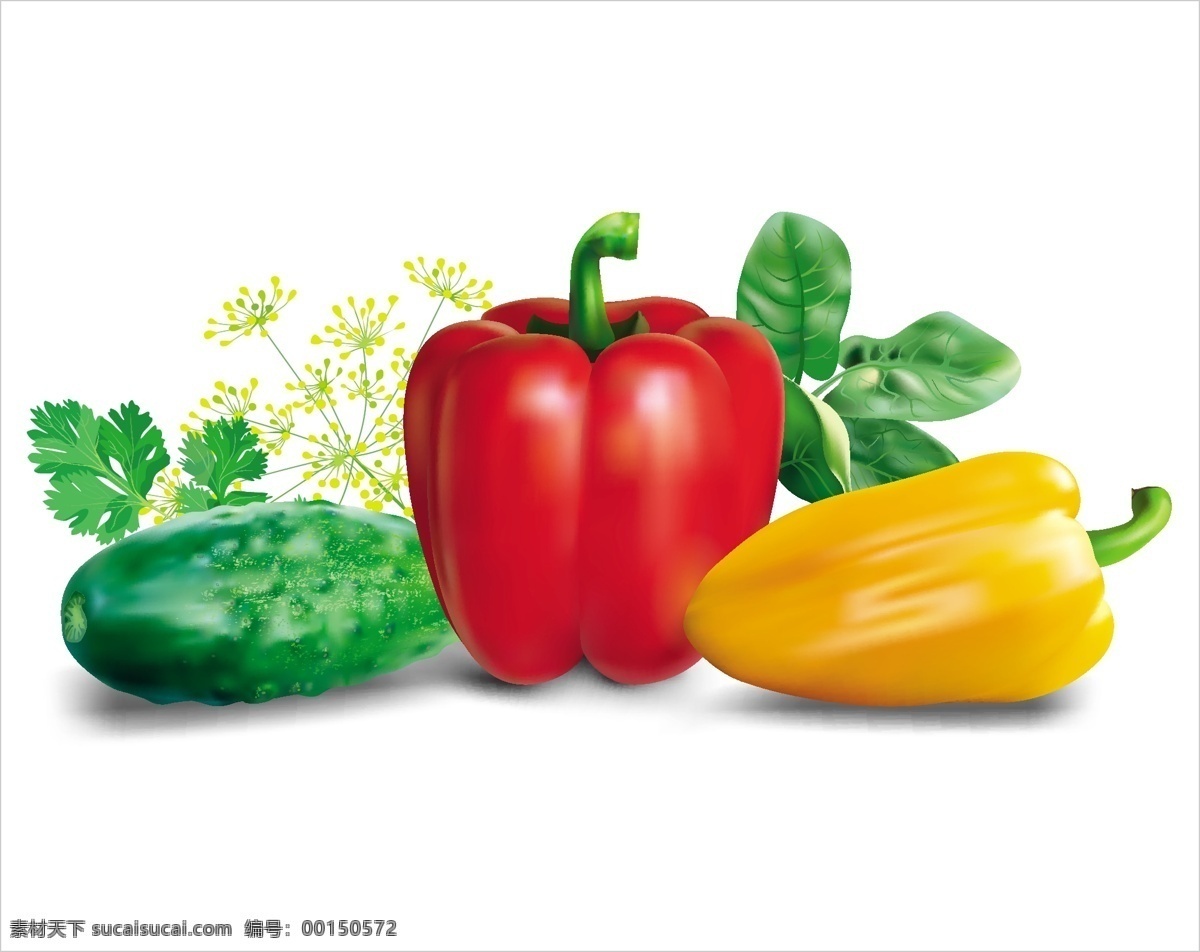 蔬菜 矢量图 辣椒 青椒 黄椒 其他矢量图