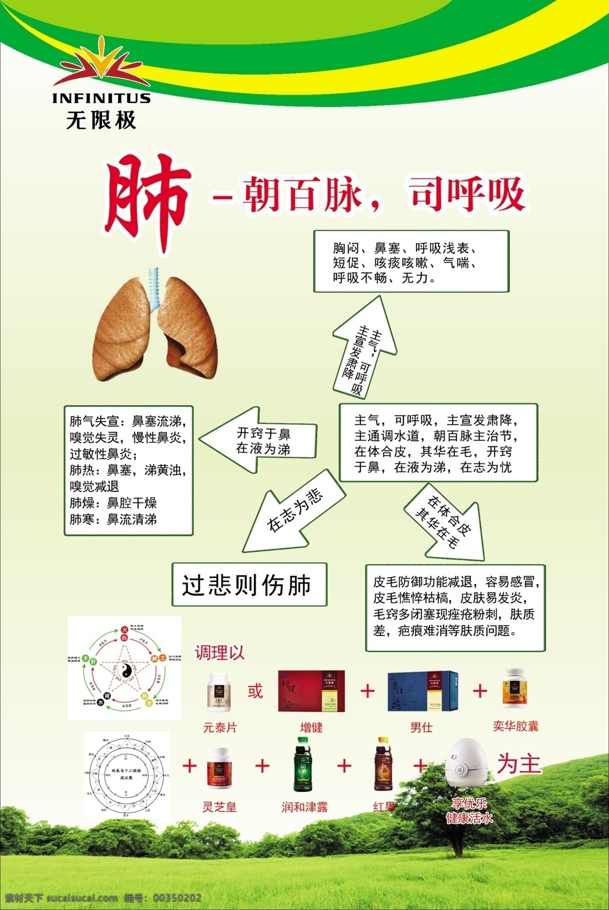 肺 无限极 心 肝 肾 中医 保健 养生