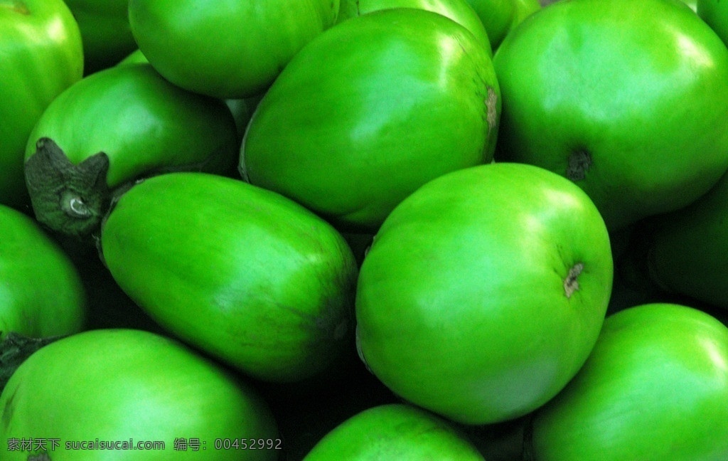 茄子 植物 绿色的 绿茄子 果实 蔬菜 生物世界
