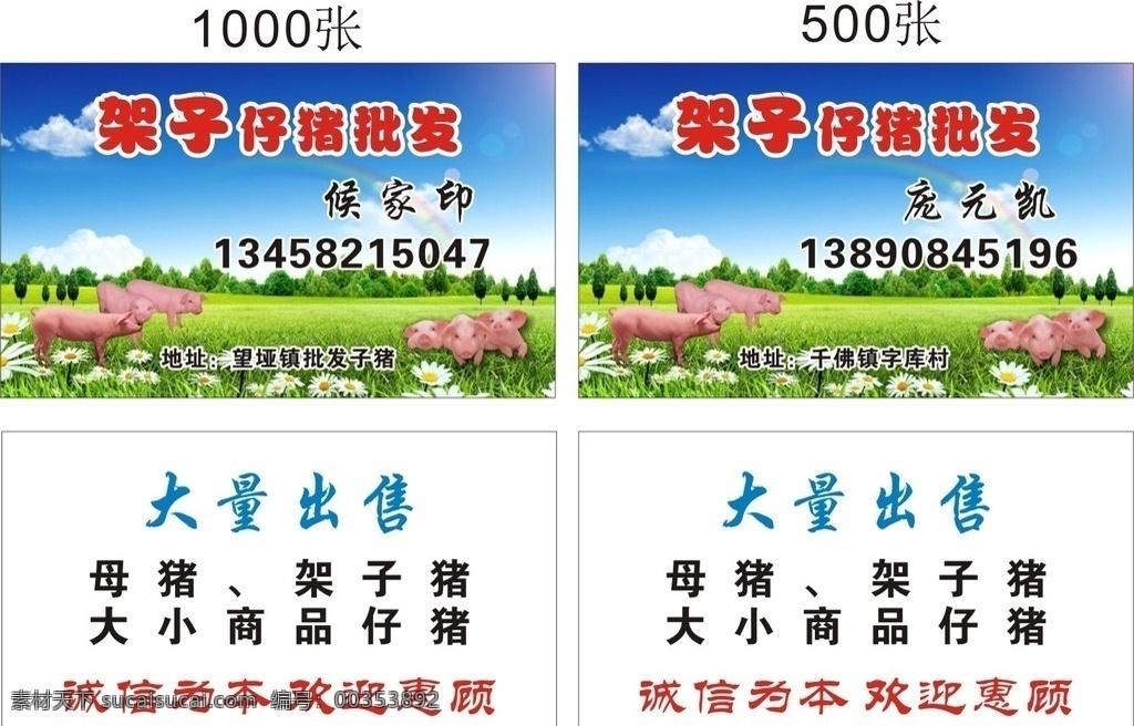 猪名片图片 猪名片 养猪名片 猪场名片 饲料名片 饲料厂名片 屠宰场名片 猪贩名片 养猪 名片 猪 卡通猪 卡通小猪 养猪大王 卖猪名片 农业名片 猪肉名片 养猪合作社 名片卡片 高档猪舍名片 高贵养猪名片 屠夫名片 养猪场名片 猪圈名片 名片设计 室内广告设计