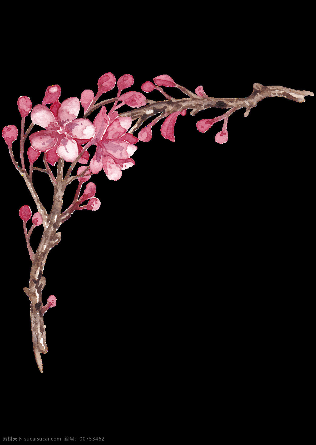 手绘 素雅 梅花 树 树枝 透明 花朵 花蕾 免扣素材 透明素材 枝桠 植物 装饰图片