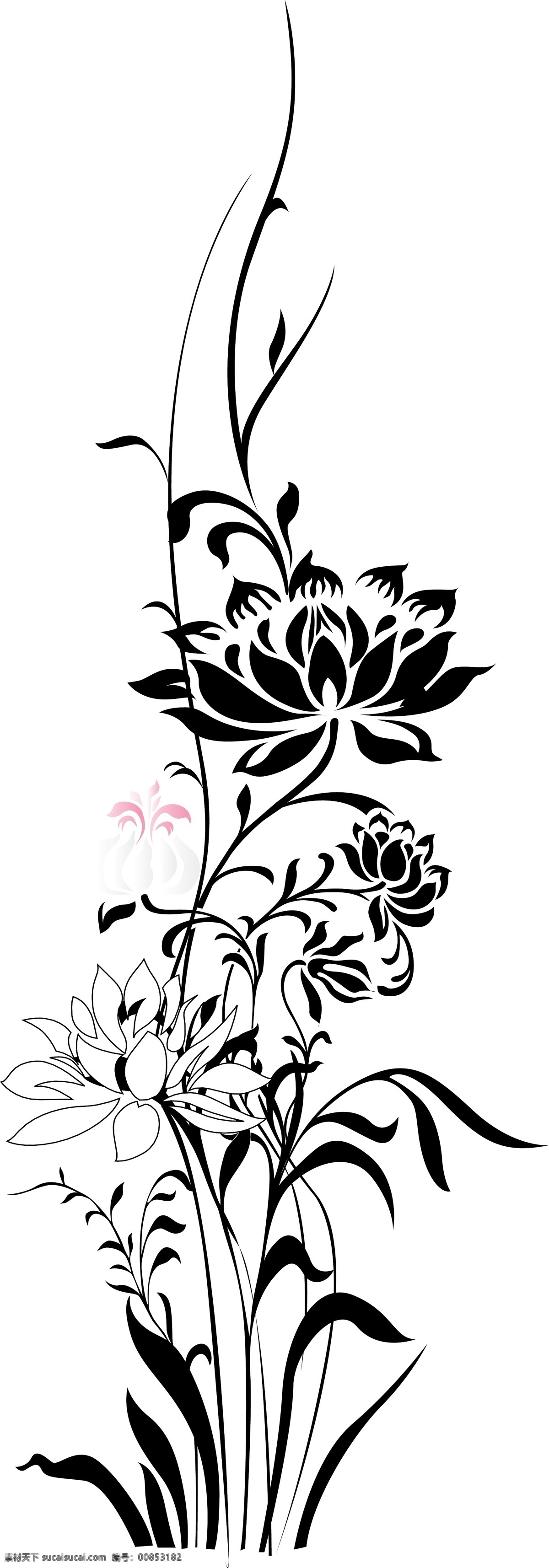 欧美 花纹 534 矢量花纹 欧美花纹 花纹元素 花纹花边 底纹边框 矢量素材 白色