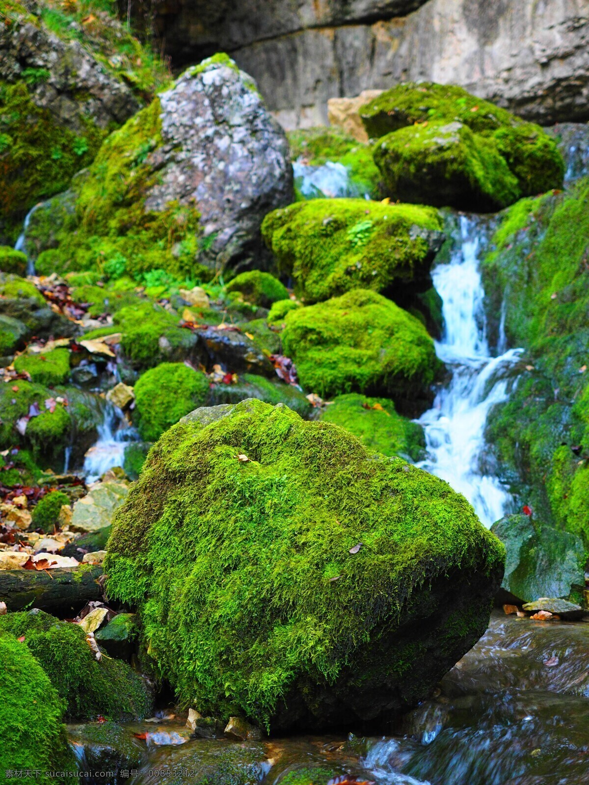 自然石头 河 洞穴的巴登 自然 石头 大山 绿色