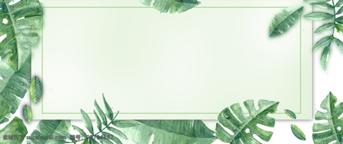 手绘 绿色 树叶 边框 banner 背景 白色贺卡 绿色树叶 素 材