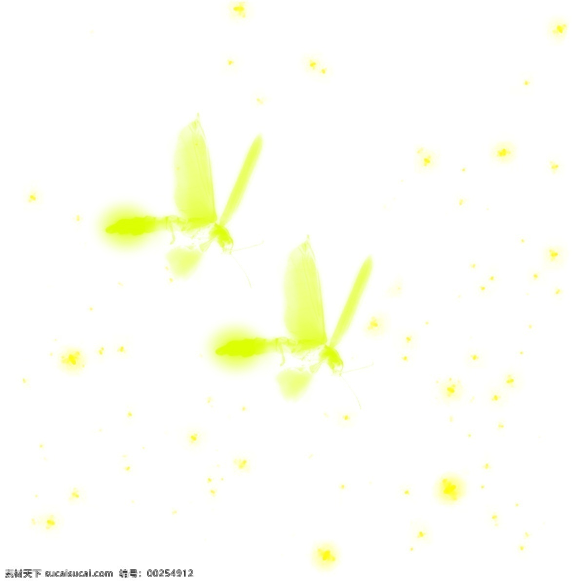 夏夜 两 只 飞舞 萤火虫 元素 飞舞的 绿色萤火虫光 小虫子 荧光 飘动的萤火虫 萤火虫发光