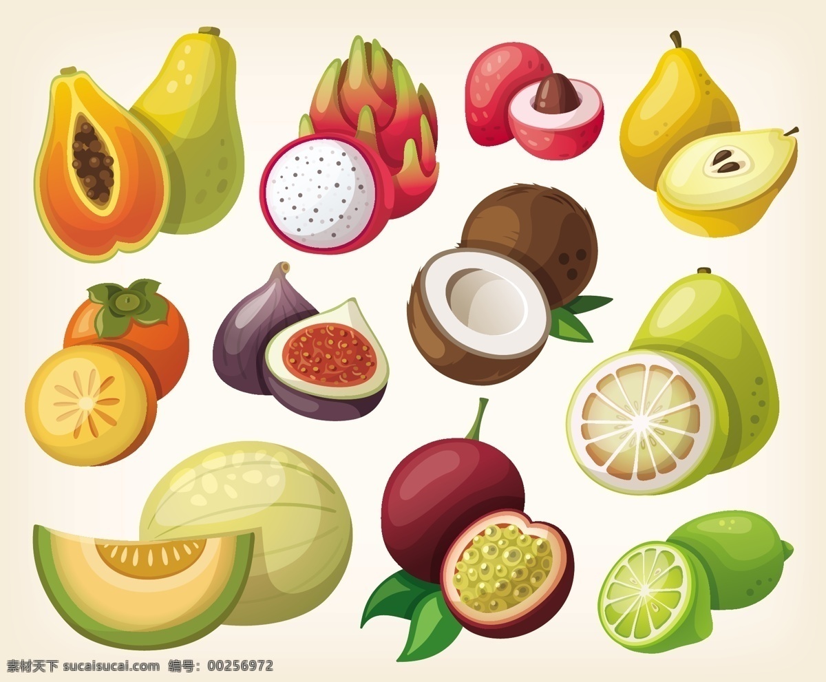 矢量水果 木瓜 火龙果 荔枝 梨 柿子 无花果 椰子 柠檬 新鲜水果 卡通水果 餐饮美食 生物世界 水果
