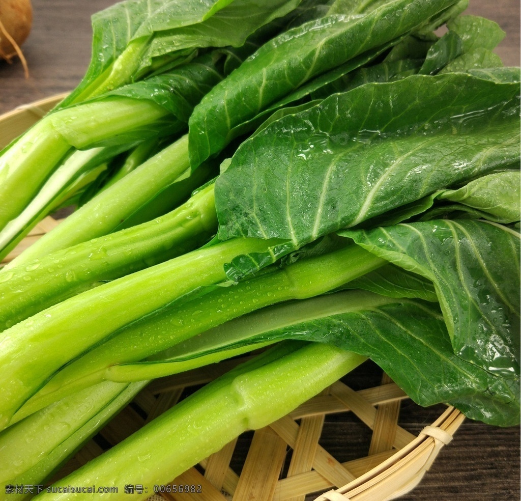 菜心 菜苔 广东菜心 菜心图片 蔬菜 生物世界