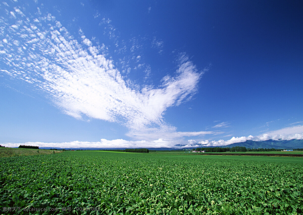 鳞片云 鳞片状的云 碧蓝的天空 广袤的大地 农田 村庄 风景 自然景观 自然风景