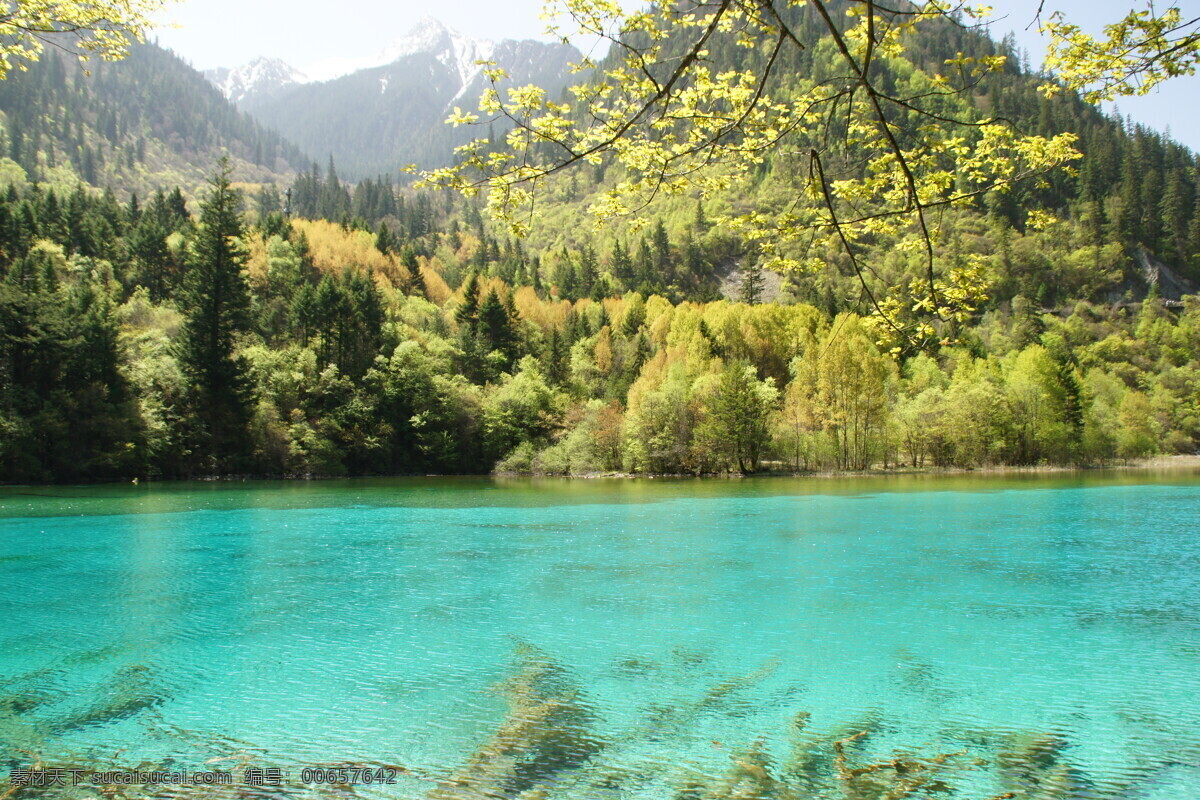 九寨沟的水 九寨沟 碧水 清澈 自然 风光 美景 旅游摄影 自然风景