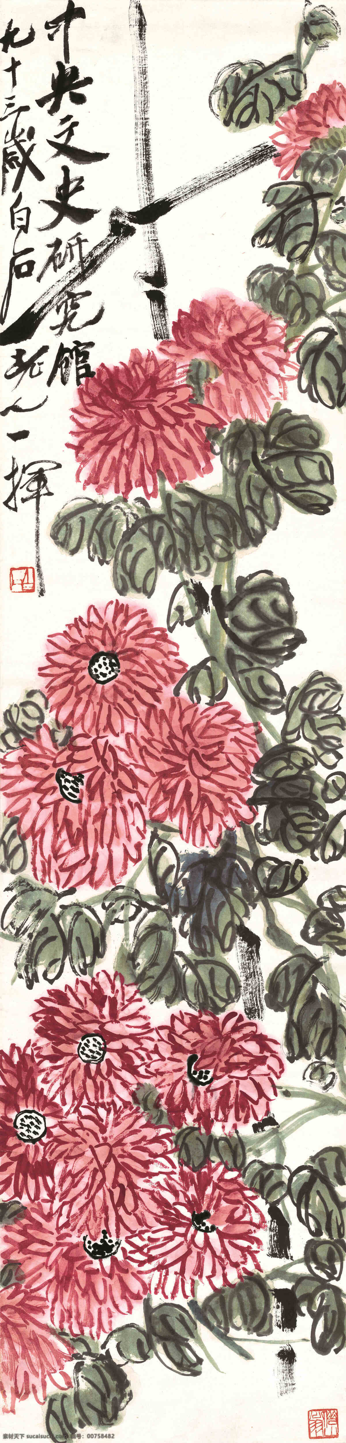 齐白石 菊花设计素材 菊花模板下载 菊花 红菊 藤蔓 叶子 绘画书法 文化艺术 白色