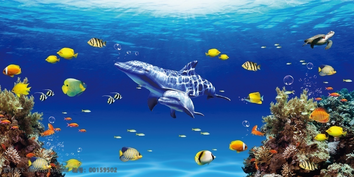 海底世界图片 海底世界 海洋世界 海底 海洋 海洋生物 海底鱼群 海鱼 海洋馆 海底鱼类 分层