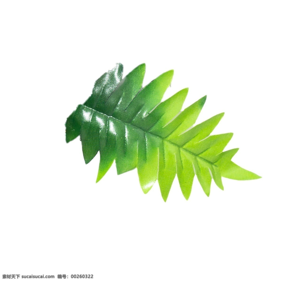 春天 绿色植物 叶子 植物绿叶 绿色叶子 春天绿叶 卡通插图 创意卡通下载 插图 png图下载