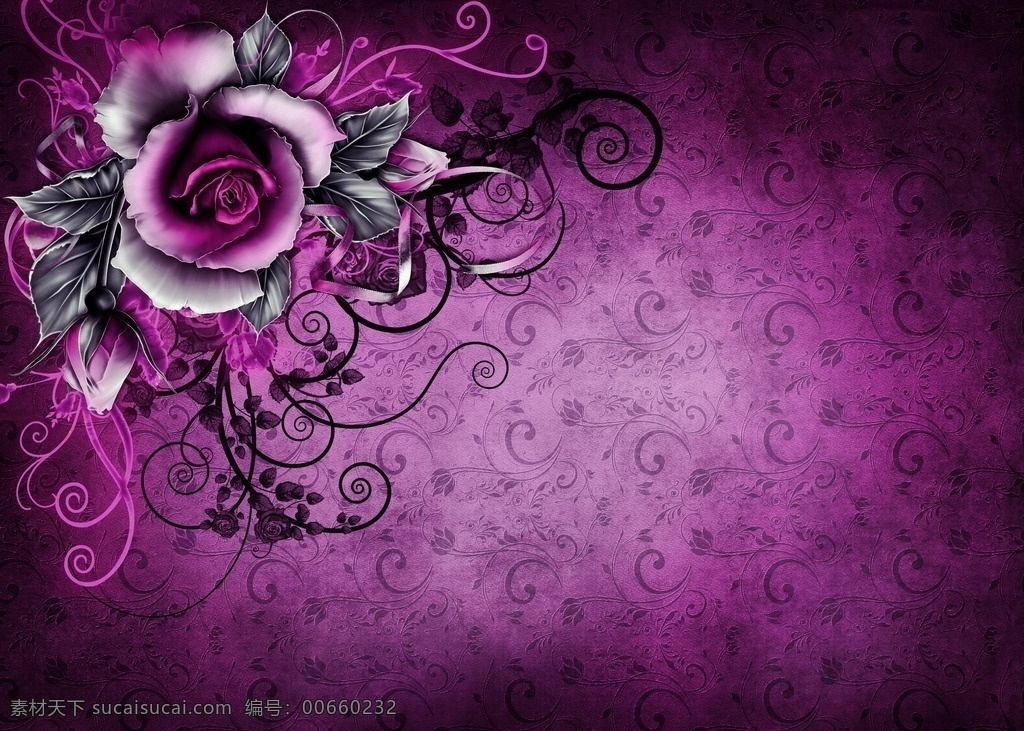 花纹背景 鲜花 紫色 花朵 梦幻 背景 炫彩 色彩 背景图片 底纹边框 花边花纹