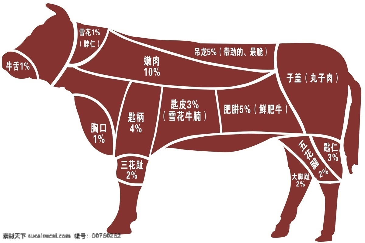 牛部位 大牛 牛的身体 牛的穴位 牛经络