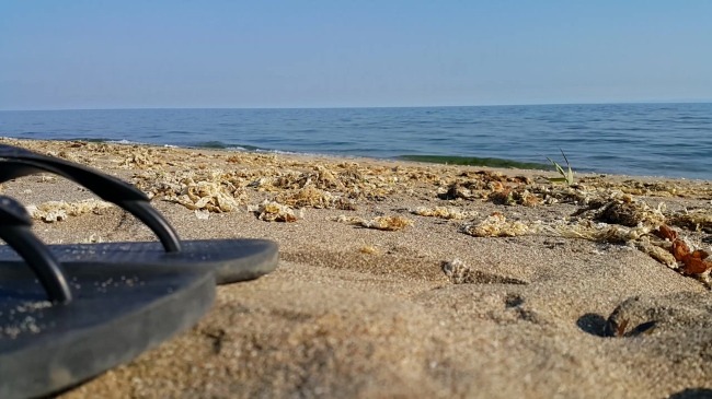 临近 海边 额 沙滩 拍摄 视频背景 合成视频 视频 活动视频背景 合成视频背景 视频素材 视频模版 海滩 海水