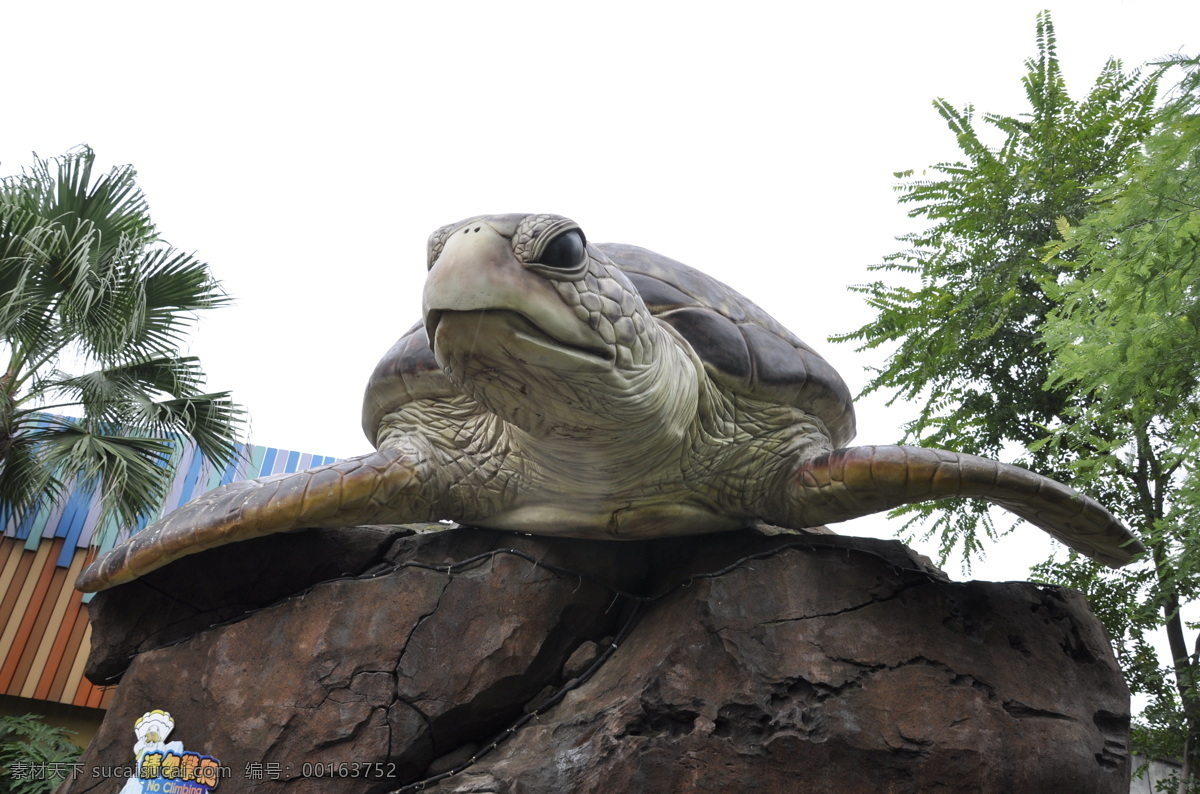 乌龟 龟 海龟 雕塑 名胜古迹 光影 建筑园林