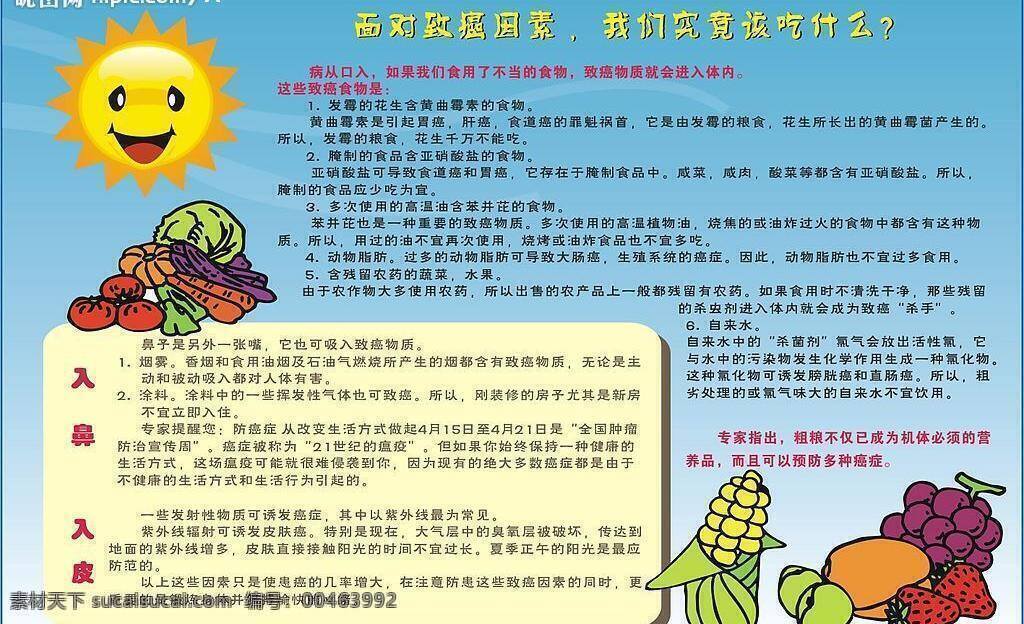 其他矢量 矢量素材 矢量图库 蔬菜 水果 太阳 面对 癌症 我们 吃 什么 矢量 模板下载 日常生活