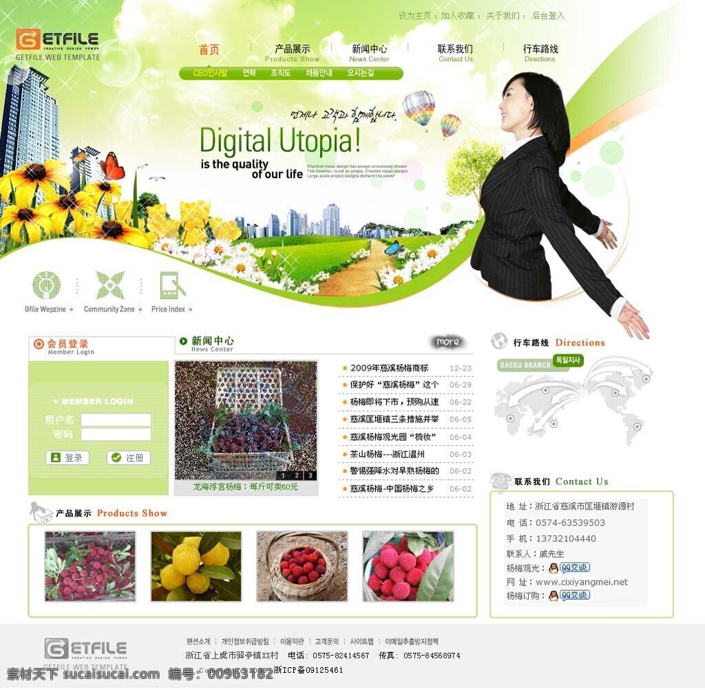网站首页 网站 网站模版 网站设计 网站设计模板 杨梅