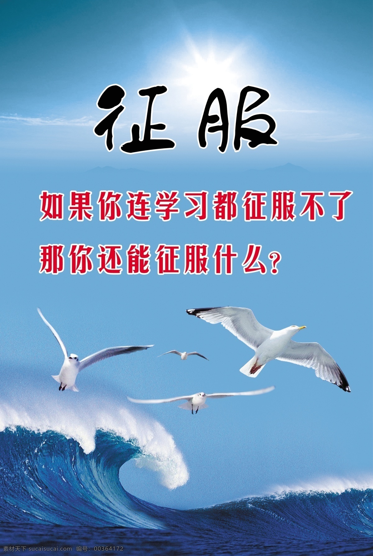 校园文化 征服 大海 海鸥 拼搏 上进 激励 学习名言 学习警句