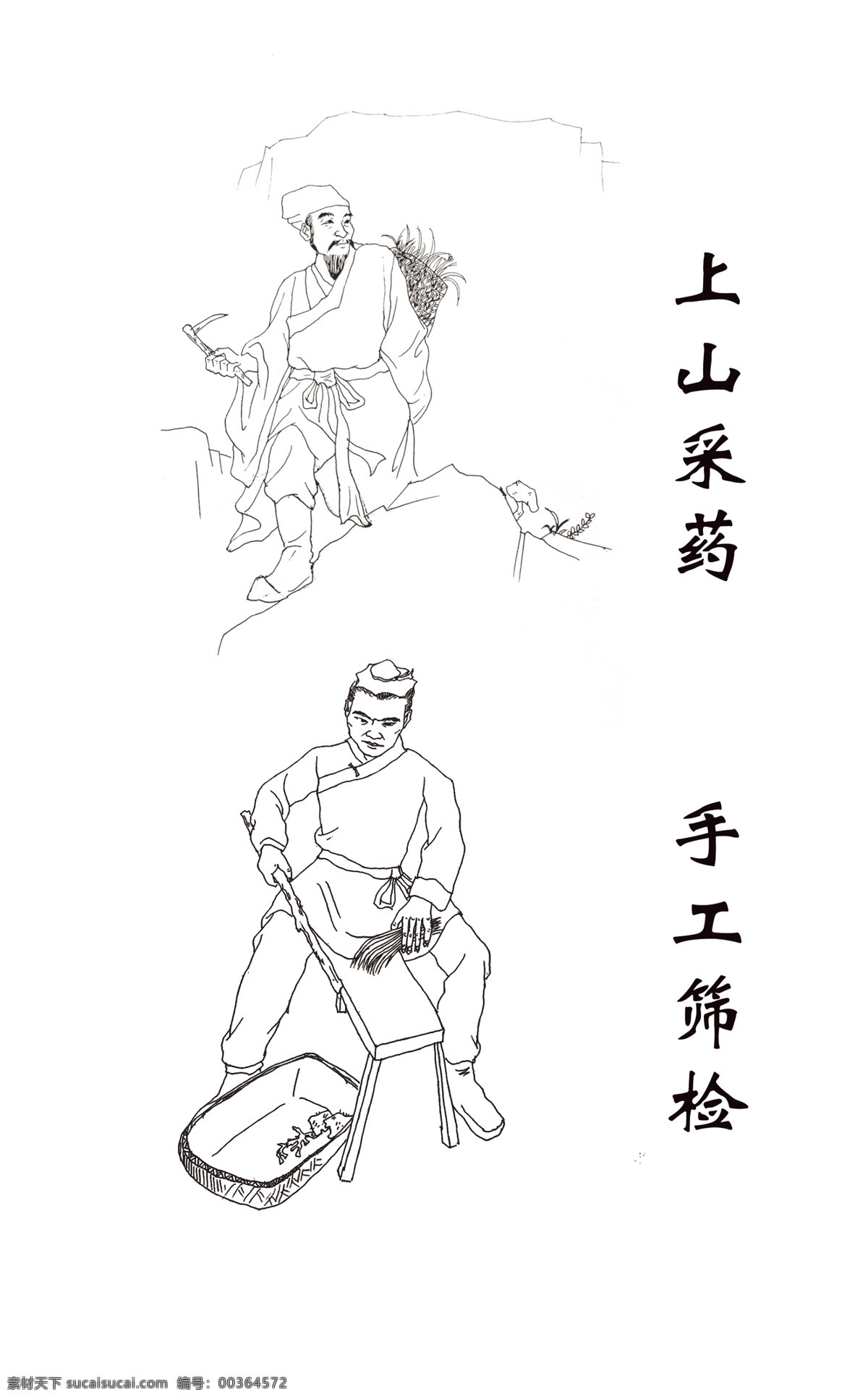 膏药 膏药制作流程 上山采药 手工筛选 流程图