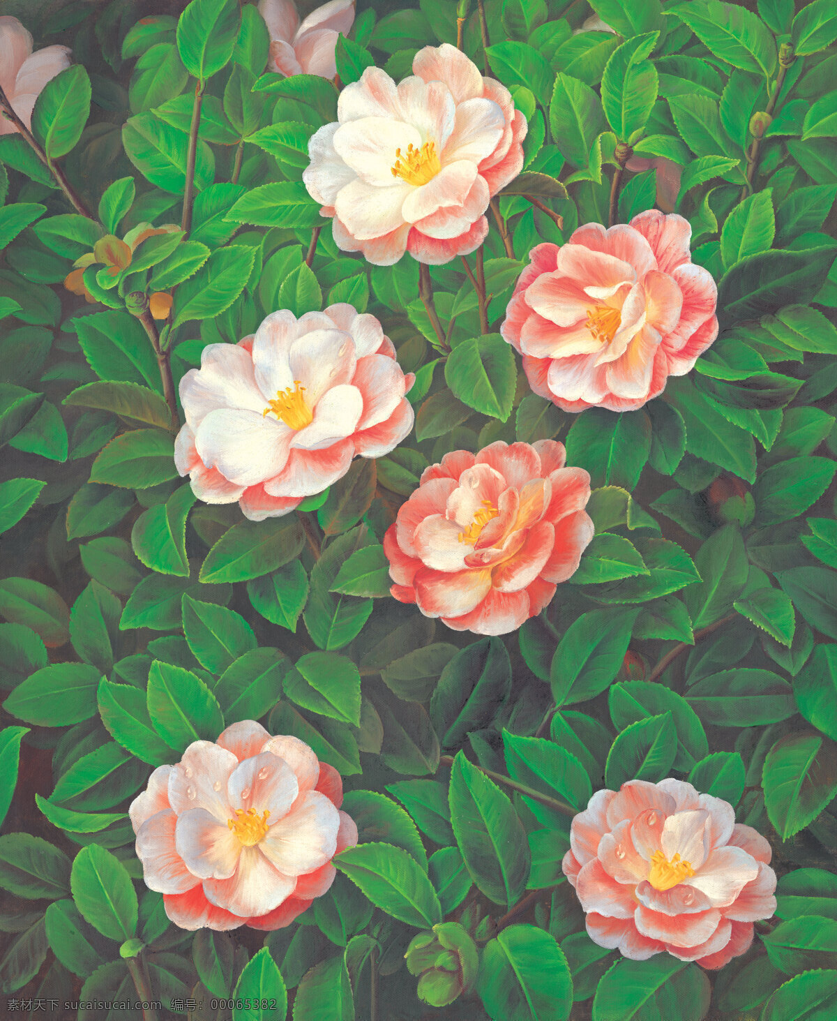 风景 工笔画 红花 绘画 绘画书法 技巧 景色 绿叶 油画牡丹 油画 书法 艺术 牡丹 玫瑰 叶子 文化艺术 装饰素材