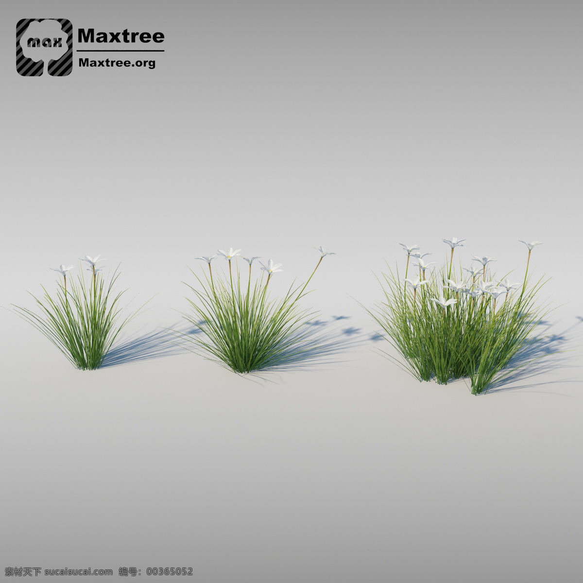 小草模型 模型 3d模型 3d渲染 模型素材 效果图 草类模型