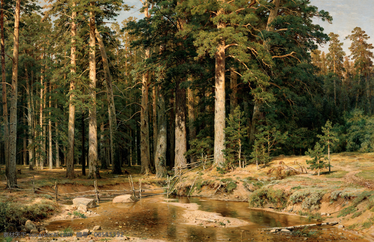 松林 森林 树林 希施金 油画 风景 俄罗斯油画 写实油画 油画风景 文化艺术 绘画书法