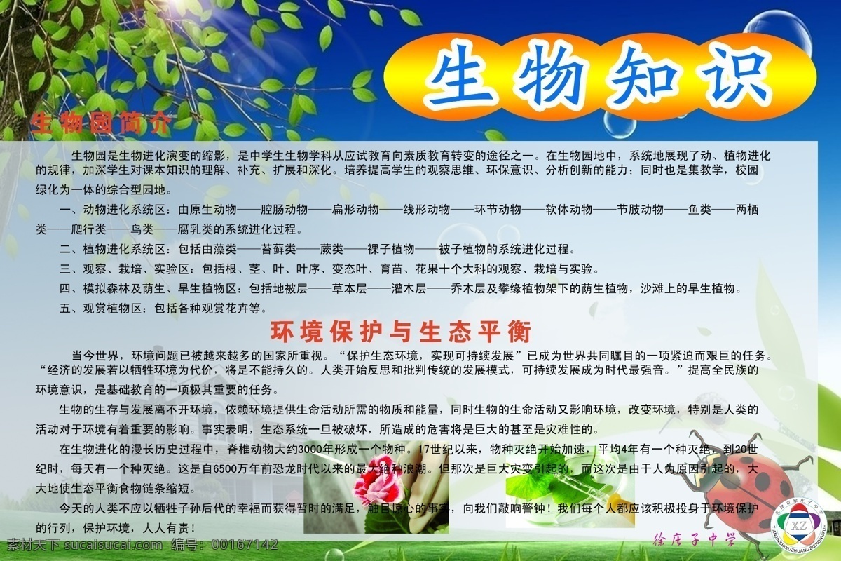 生物知识 生物 知识 生物室 实验室 学校 展板 生物园 环境保护 生态平衡 生物链 展板模板 广告设计模板 源文件