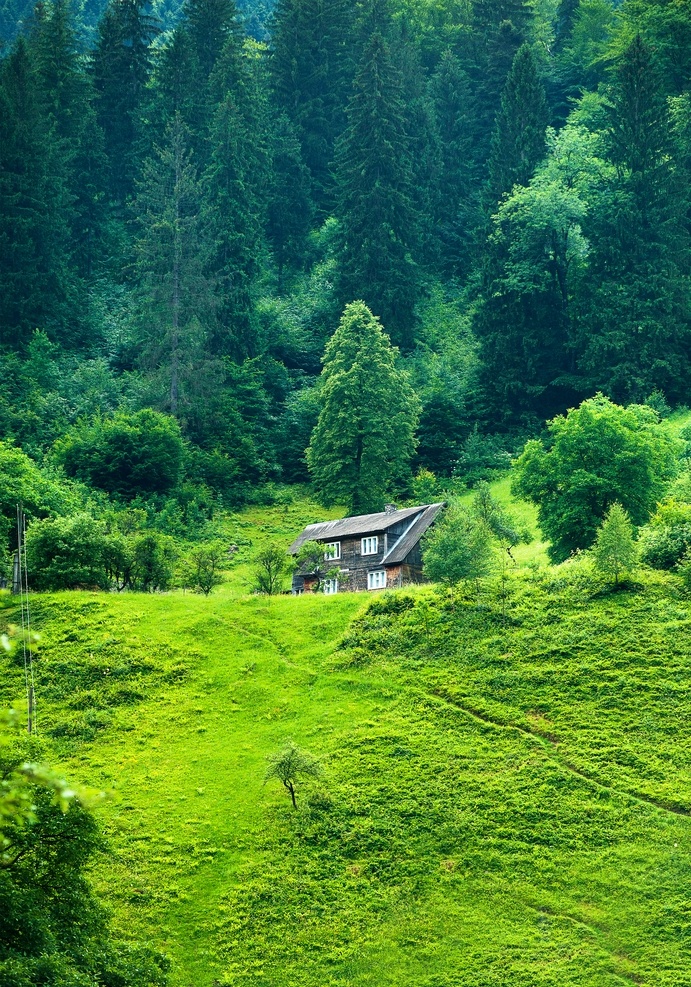 自然景观 草地 山林 田园风景 自然素材 森林素材 森林 植物 自然 山川河流 大自然风光 风景 景色 田园