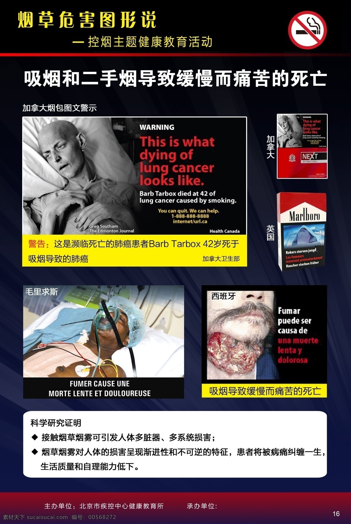 吸烟 有害 健康 宣传 展 版 展板 吸烟有害健康 肺 疾病 二手烟 危害 香烟 肺癌 禁止吸烟 禁止吸烟标志 失明 眼睛 伤害 戒烟展板 图文警示 展板模板 广告设计模板 源文件
