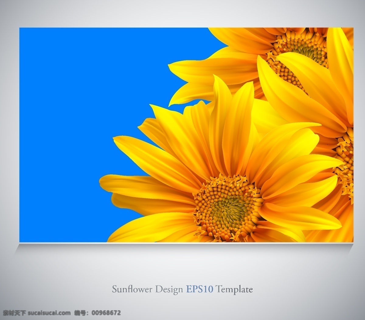 鲜花 秋叶 横幅 banner 矢量